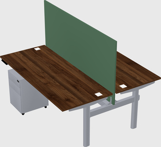 Shared electric desk