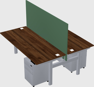 Shared electric desk