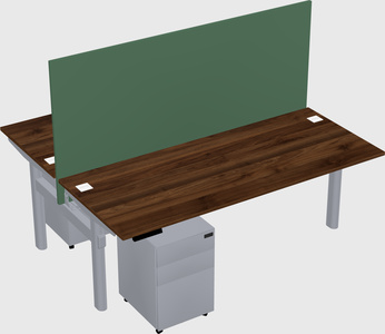 Shared electric desk