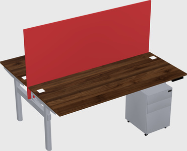 Shared electric desk