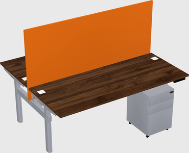 Shared electric desk