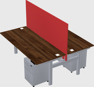 Shared electric desk