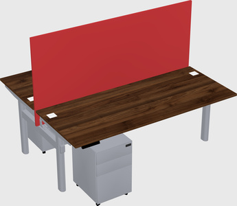 Shared electric desk