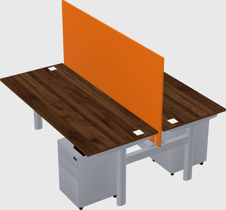 Shared electric desk
