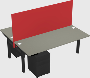 Shared electric desk
