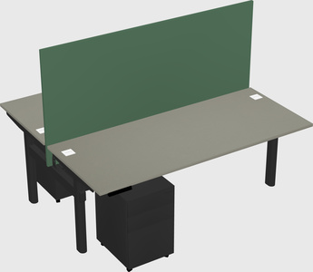 Shared electric desk