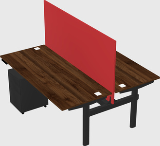 Shared electric desk