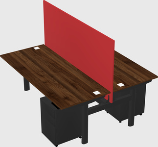 Shared electric desk