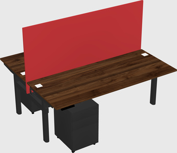 Shared electric desk