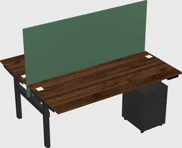 Shared electric desk