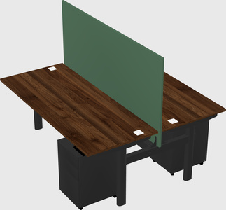 Shared electric desk