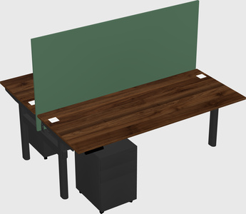 Shared electric desk
