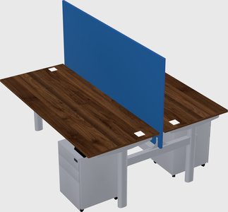 Shared electric desk