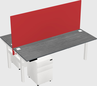 Shared electric desk