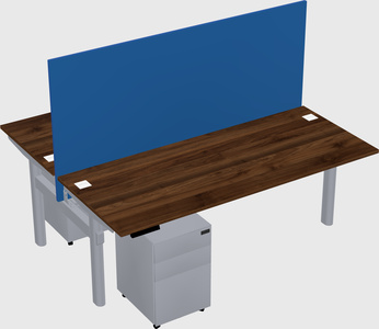 Shared electric desk