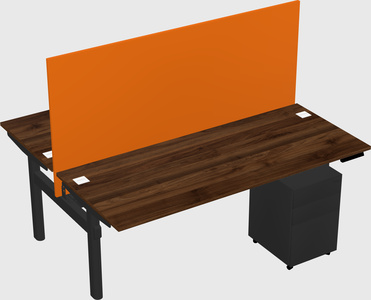 Shared electric desk