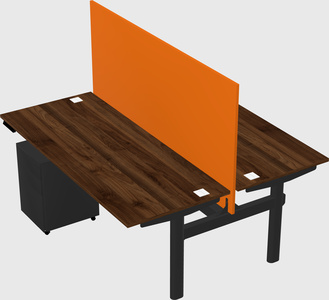 Shared electric desk