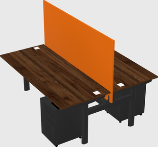 Shared electric desk