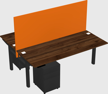 Shared electric desk