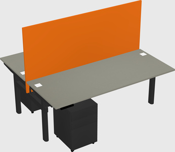 Shared electric desk