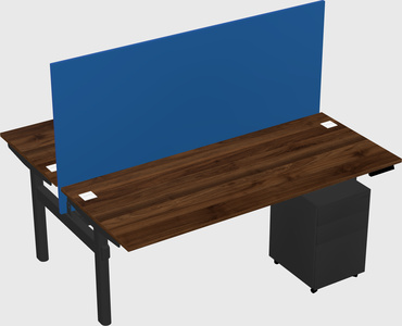Shared electric desk