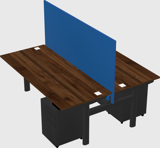 Shared electric desk