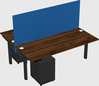 Shared electric desk
