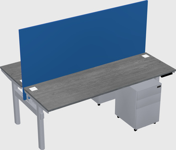Shared electric desk