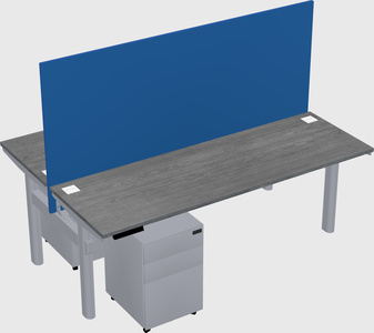 Shared electric desk