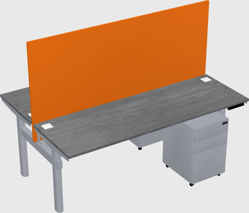 Shared electric desk