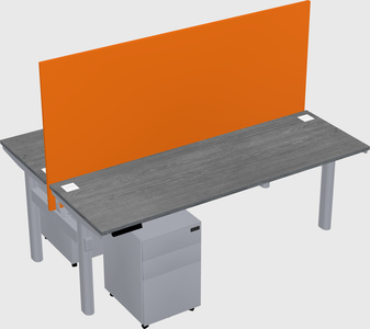 Shared electric desk