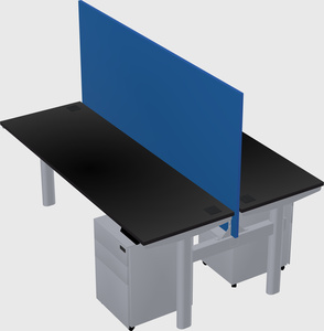 Shared electric desk