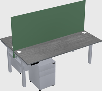 Shared electric desk