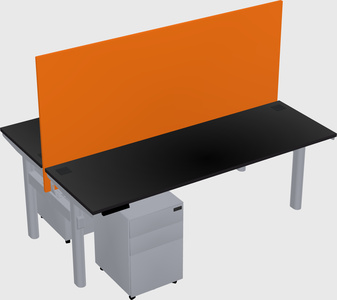 Shared electric desk