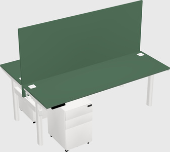 Shared electric desk