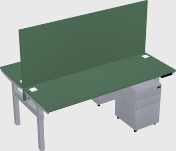 Shared electric desk