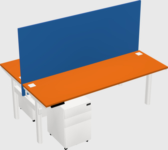 Shared electric desk