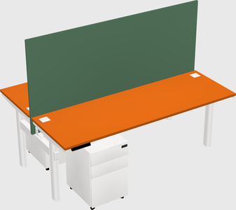 Shared electric desk