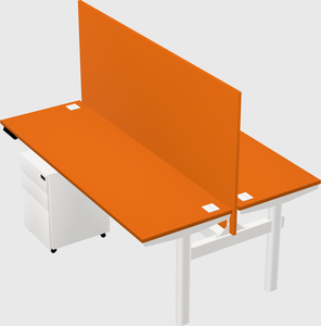 Shared electric desk