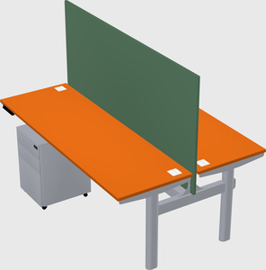Shared electric desk