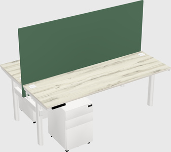 Shared electric desk