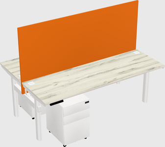 Shared electric desk
