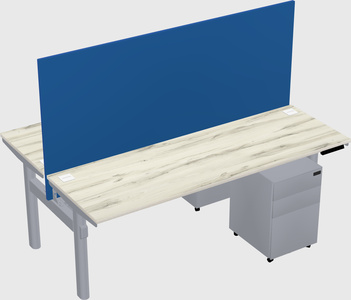 Shared electric desk