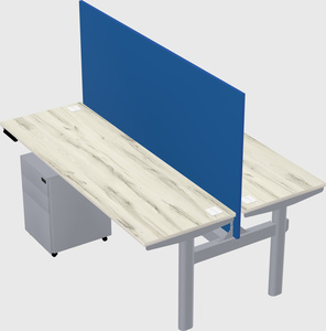 Shared electric desk
