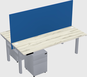 Shared electric desk