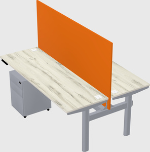 Shared electric desk