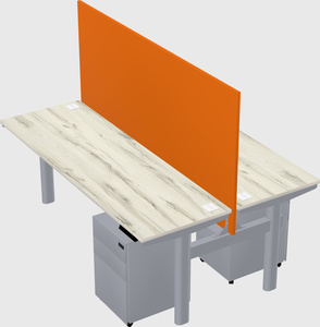 Shared electric desk