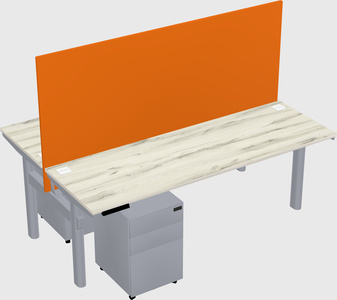 Shared electric desk