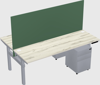 Shared electric desk