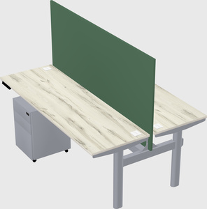 Shared electric desk
